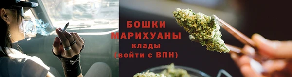 ГАЛЛЮЦИНОГЕННЫЕ ГРИБЫ Волосово