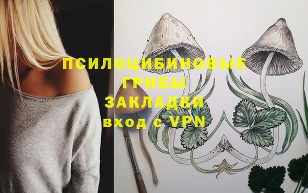герыч Володарск