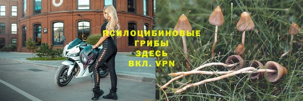 герыч Володарск